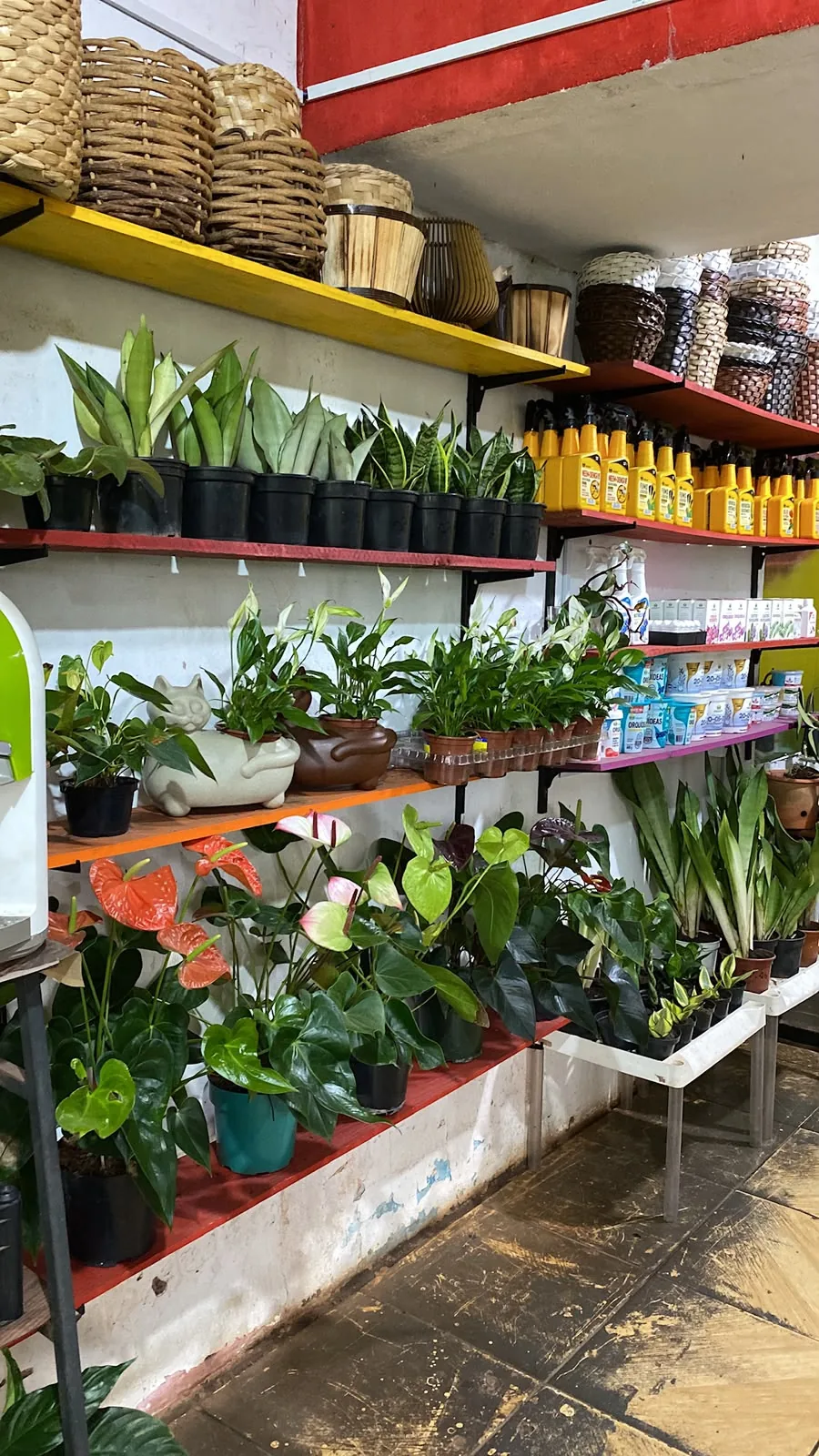 Produtos para jardim no Cantinho da Suculenta