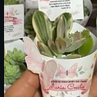 3D jardim — Lembrancinha da Floricultura Cantinho da Suculenta