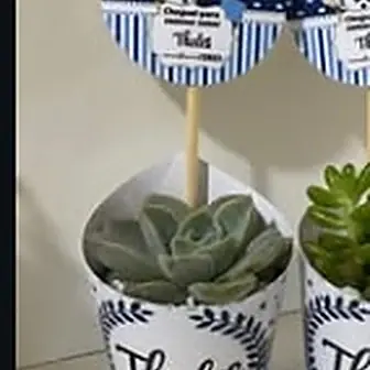 Chá de bebê — Lembrancinha da Floricultura Cantinho da Suculenta