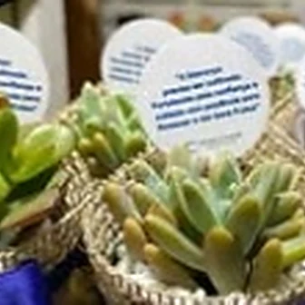 Fita azul escuro — Lembrancinha da Floricultura Cantinho da Suculenta
