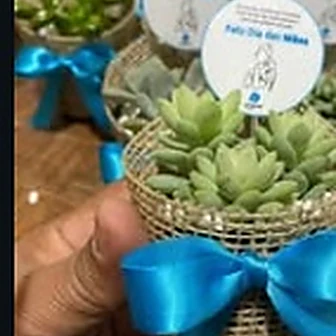 Fita azul tiffany — Lembrancinha da Floricultura Cantinho da Suculenta