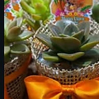 Fita laranja — Lembrancinha da Floricultura Cantinho da Suculenta