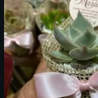 Fita rosa claro — Lembrancinha da Floricultura Cantinho da Suculenta