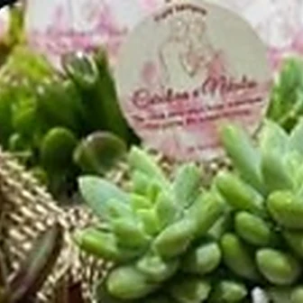 Fita rosê — Lembrancinha da Floricultura Cantinho da Suculenta