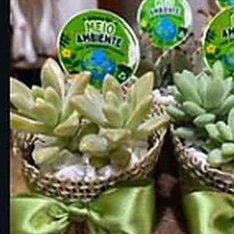 Fita verde oliva — Lembrancinha da Floricultura Cantinho da Suculenta
