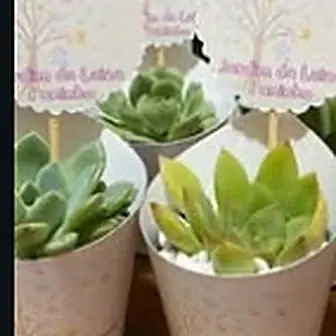 Jardim encantado — Lembrancinha da Floricultura Cantinho da Suculenta