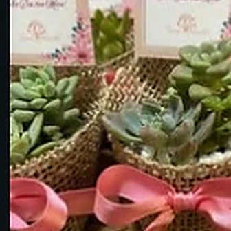 Laço rosa choc — Lembrancinha da Floricultura Cantinho da Suculenta