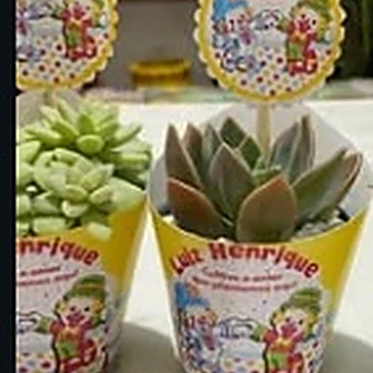 Patati Patatá — Lembrancinha da Floricultura Cantinho da Suculenta