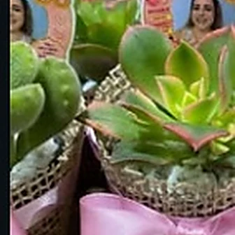 Rosa bebê — Lembrancinha da Floricultura Cantinho da Suculenta