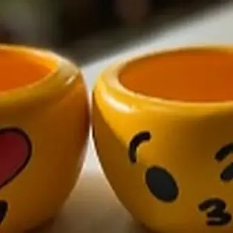 Vaso emoji — Vaso da Floricultura Cantinho da Suculenta
