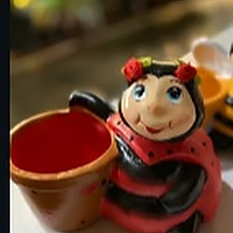 Vaso Joana / Abelha — Vaso da Floricultura Cantinho da Suculenta